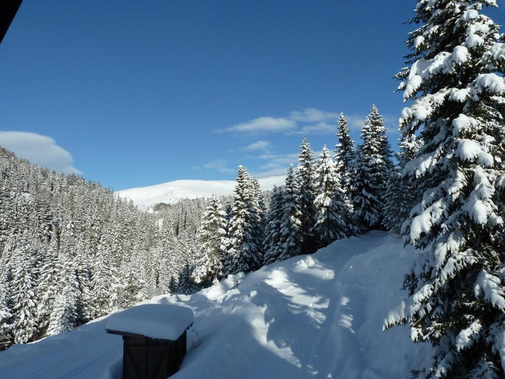 Bed and Breakfast Bruckerhutte à Lachtal Chambre photo